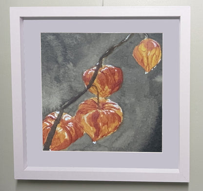 Physalis, cerise d'hiver, coqueret du Pérou ou encore lanterne japonaise _ Poster carré